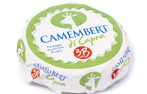 Camembert