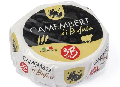 Camembert